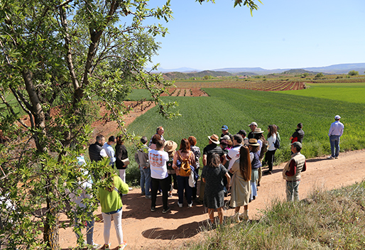 Enoturismo Bodegas David Moreno